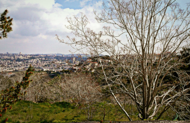 Uitzicht over Jerusalem vanaf Gilo