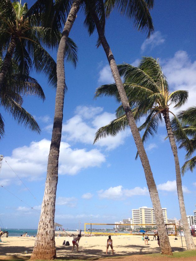 Volley ballen op Waikiki beach in Honolulu Hawaii