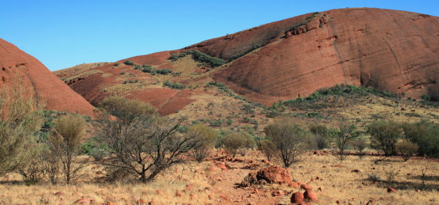 De Olgas of Kata Tjuta