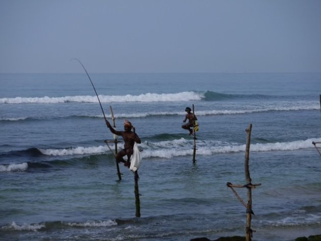 De paalvissers in Sri Lanka