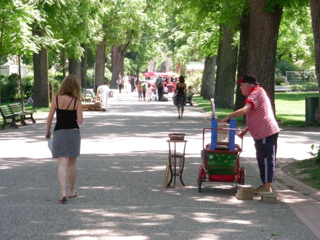 Orgelman in Garden of Plants