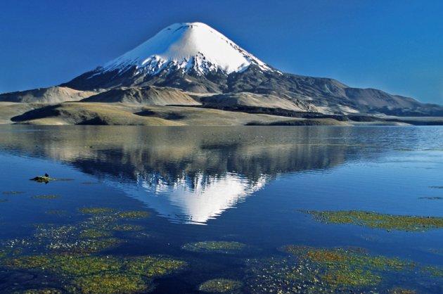 Weerspiegeling besneeuwde vulkaan Parinacota in Laguna Chungará