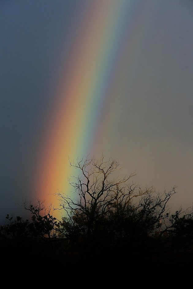 RAINBOW @Big~Island 