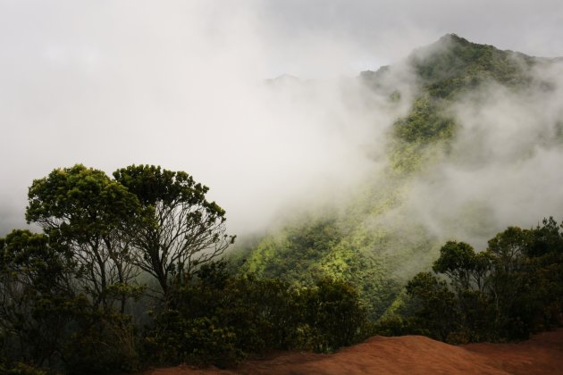 Pihea Trail