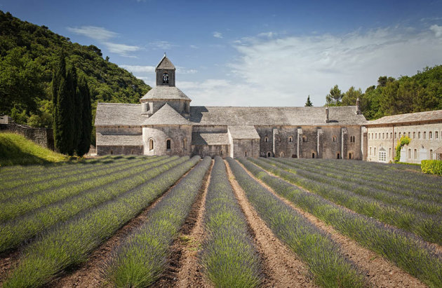 L'Abbaye de Notre Dame de Senanque