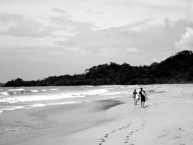 Surfers