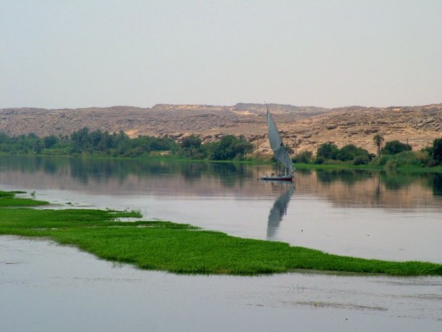 Felucca