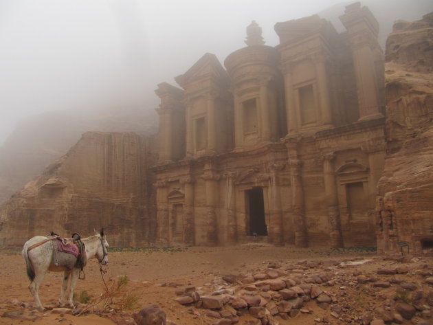 Ezel voor klooster in Petra, Jordanië