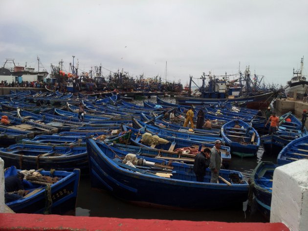 De haven van Essouira, Marokko