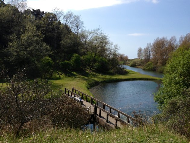 Omgeving in Hertenpark