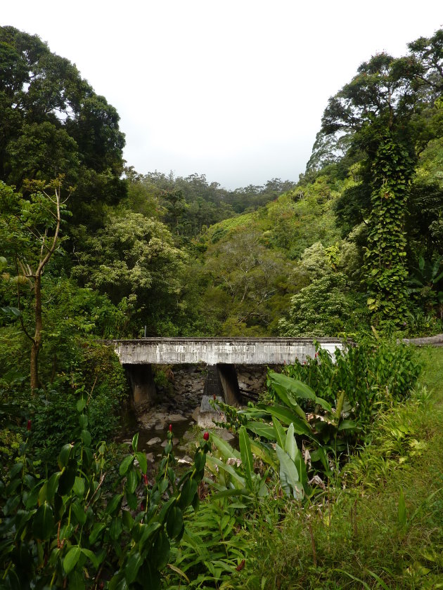 Road To Hana