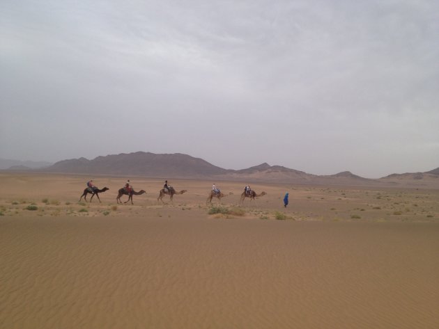 Kamelenritje door de buitenrok van de Sahara