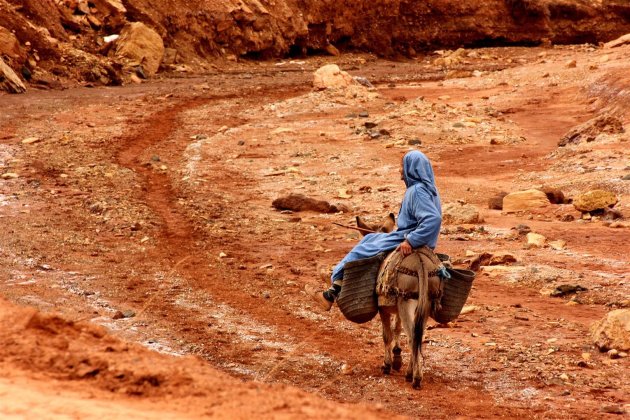Man op ezel in Marokkaanse rivierbedding