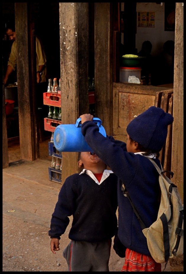 Dorst