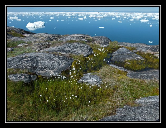 Uitzicht over Disko Bay