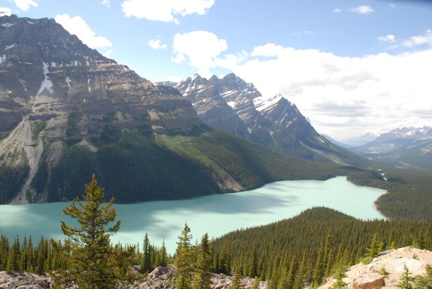 Peyto Lake