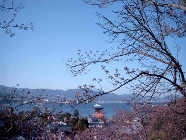 Torii