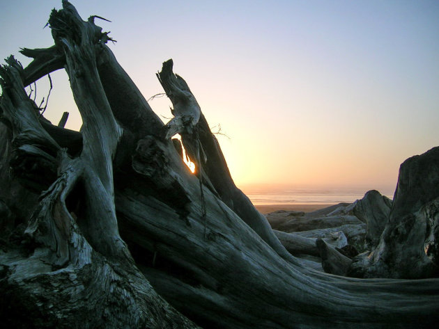 Kalaloch Beach