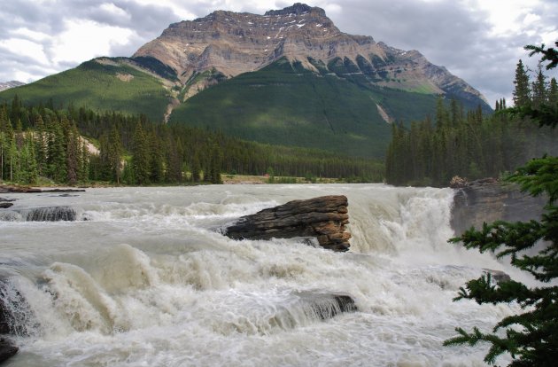 Athabasca Falls