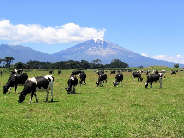 Vulkaan Mount Taranaki een stratovulkaan