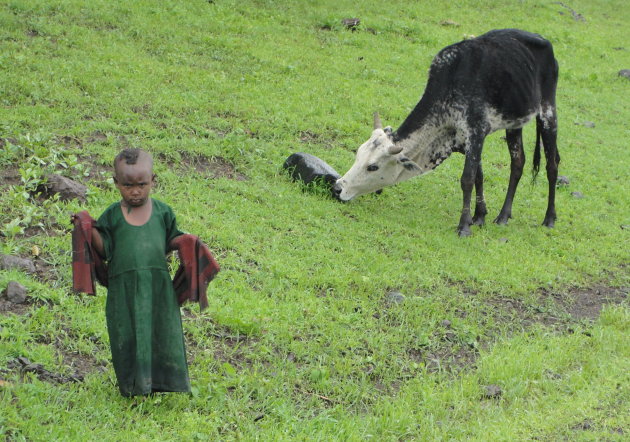 Kind en koe