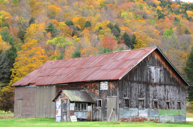 Maplebarn