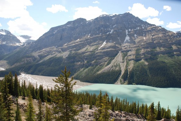 Peyto Lake