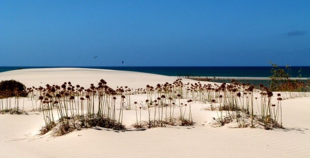 Panorama Boa vista