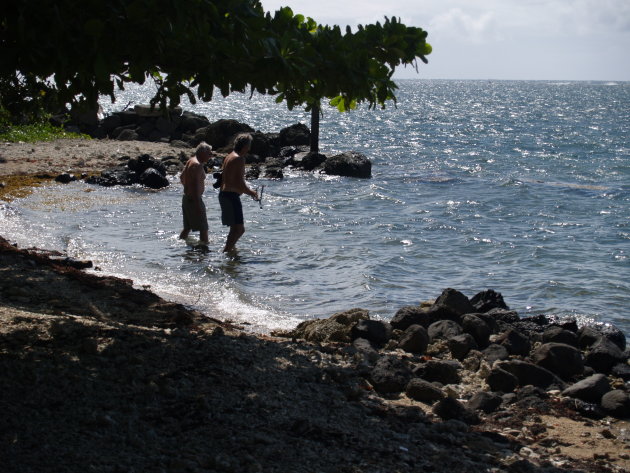 snorkelende mannen in het zee reservaat even buiten Apia