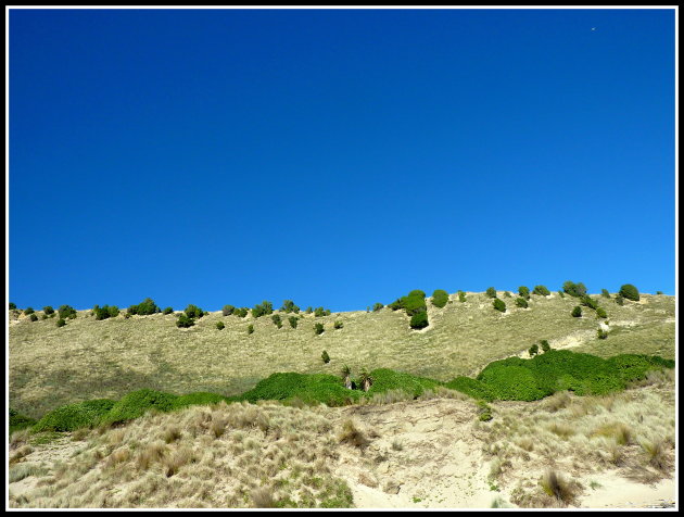 Duinen, maar dan anders