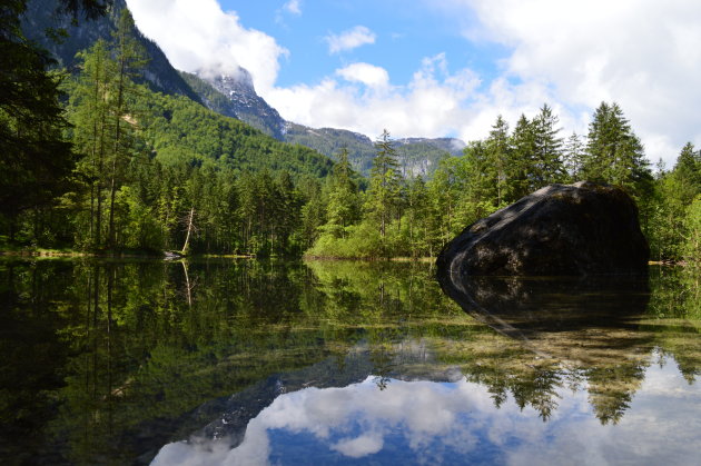 Rots mooi gepositioneerd in het water