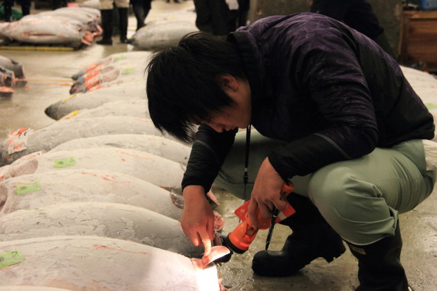 Tsukiji vismarkt