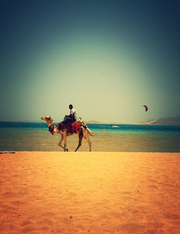 Kitesurfen in Egypte