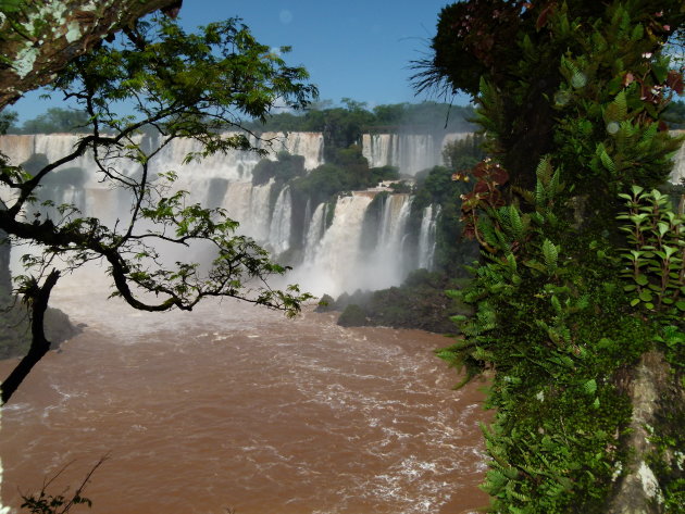 Iguazu