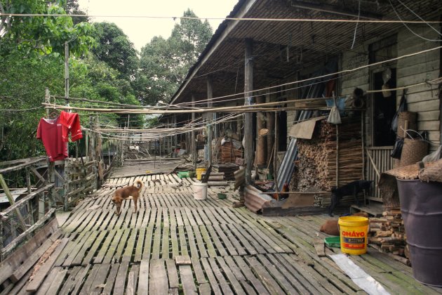 Veranda Longhouse