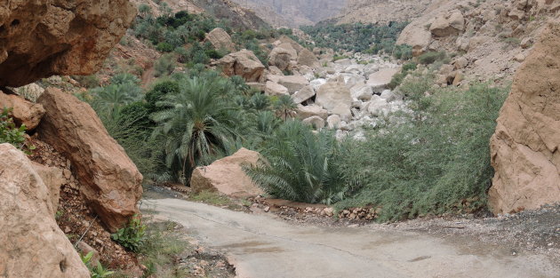 Wadi Tiwi