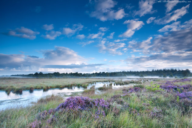 Fochteloerveen