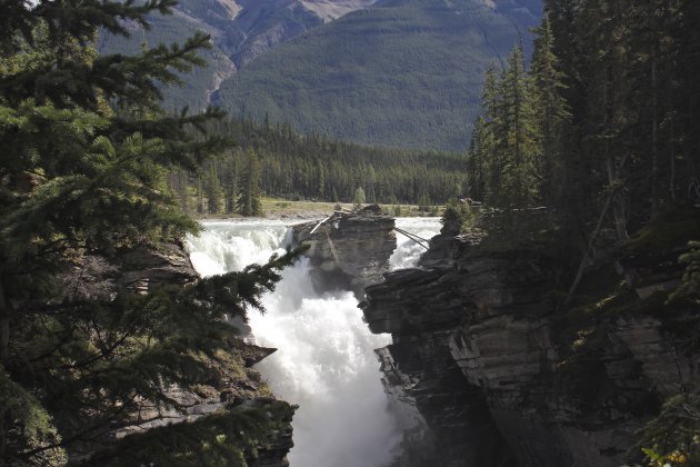 Athabasca falls