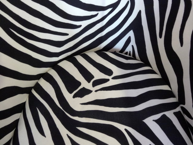 Zebra design