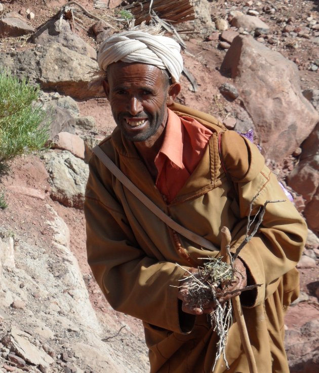 Berberse herder