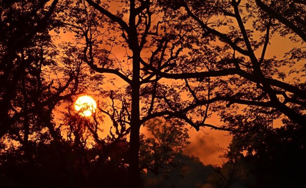 Zie de zon schijnt door de bomen.....