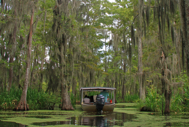 Swamptour