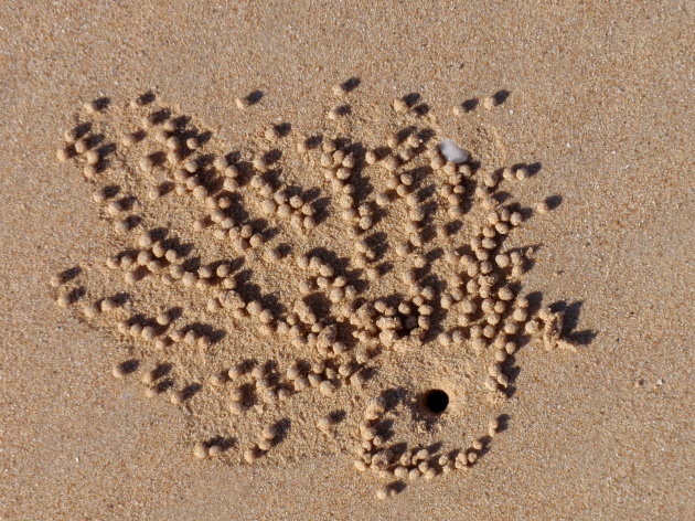 gaatjes in het zand