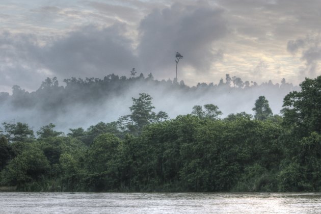 Kinabatangan rivier