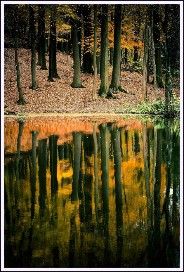 Herfstkleurtjes