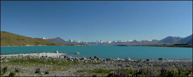 Lake Tekapo