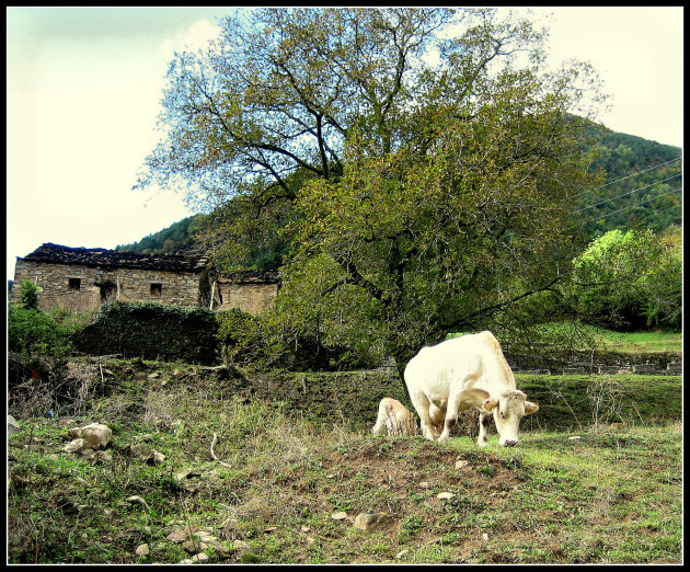 Huesca