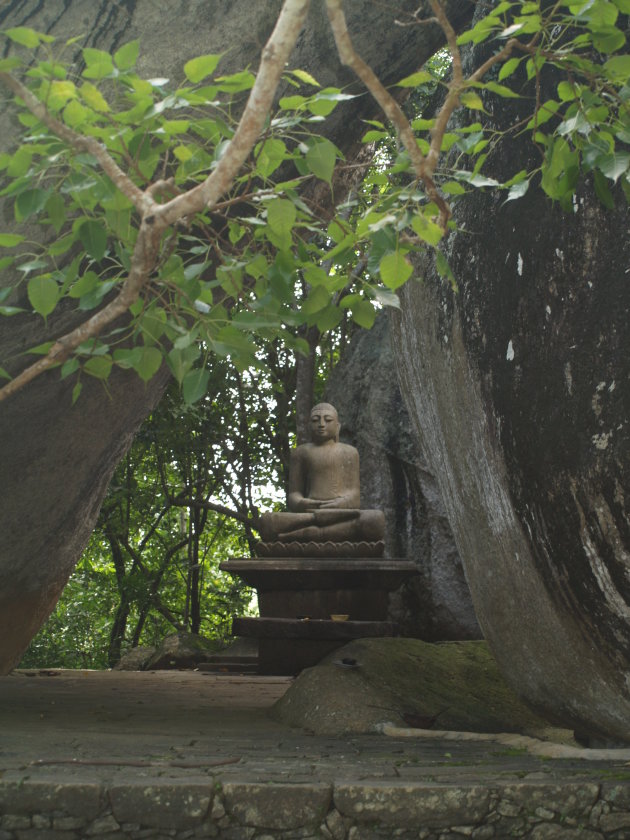 een serene Bouddha ... in het groen