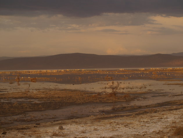 Lake Nakuru 