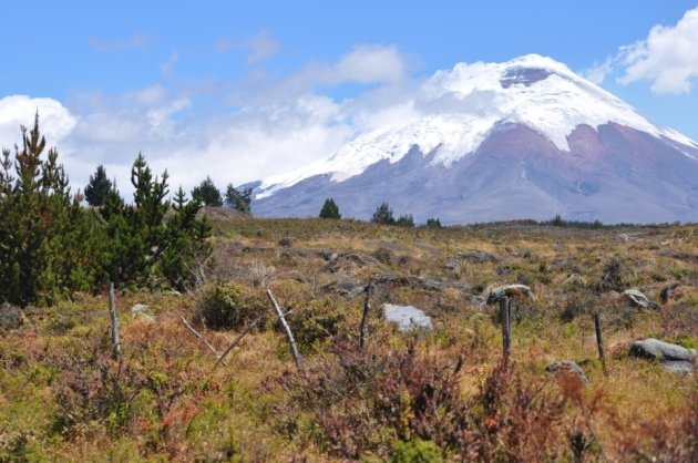 Cotopaxi 